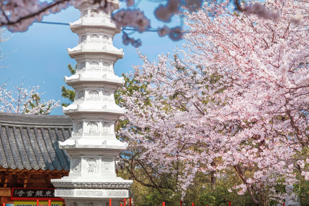 Haedong Yonggungsa Temple & East Busan Coast