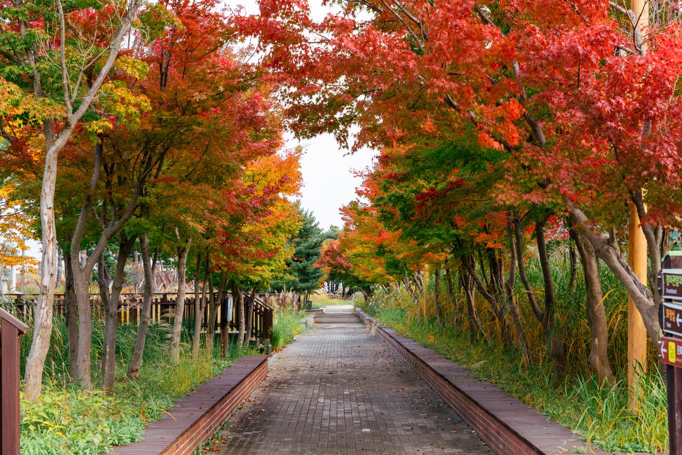 Autumn Foliage Private Tour