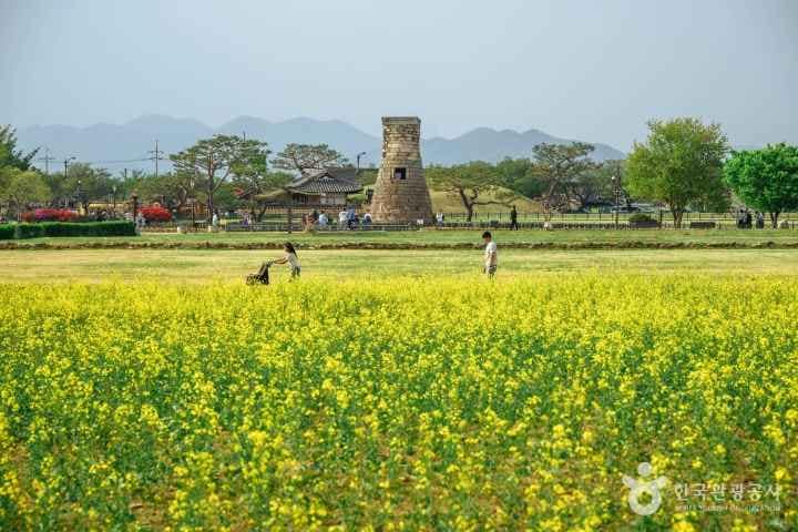 Gyeongju UNESCO Heritage Day Trip