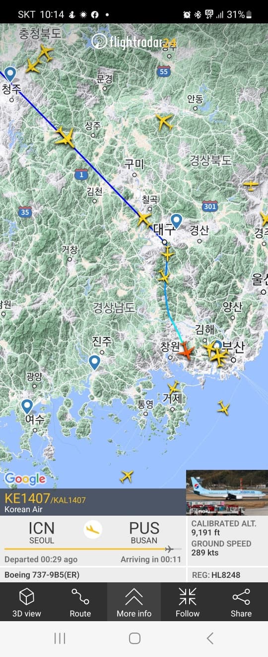 Foreign VIP Pickup at Gimhae International Airport — Hotel Protocol Transfer to Jinju
